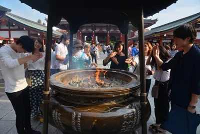 DSC_3485 (Large).JPG